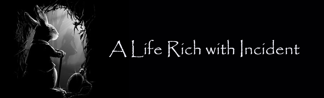 A Life Rich with Incident